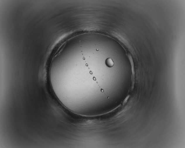 X0000088220584200705221805