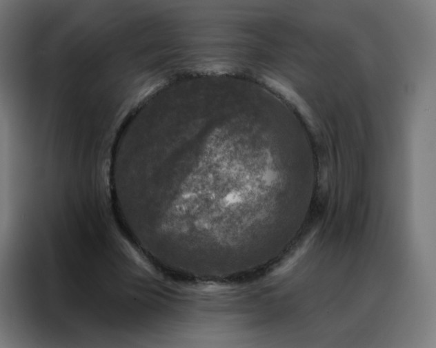 X0000088220585200705221805