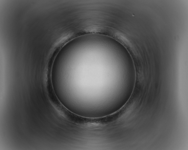 X0000088220586200705221805