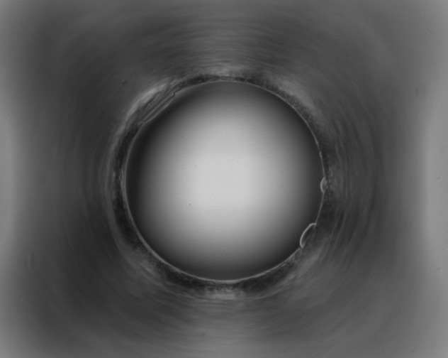 X0000088220587200705221805