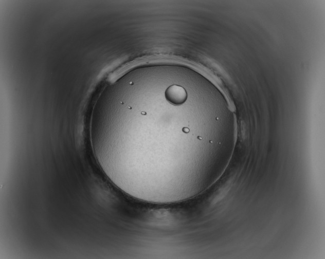 X0000088220588200705221805