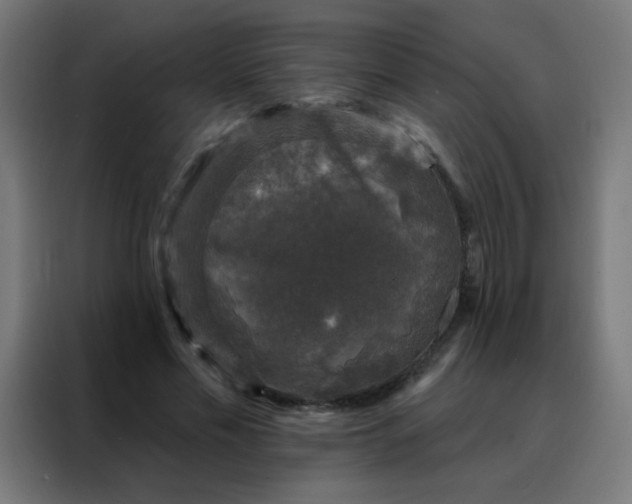 X0000088220589200705221805