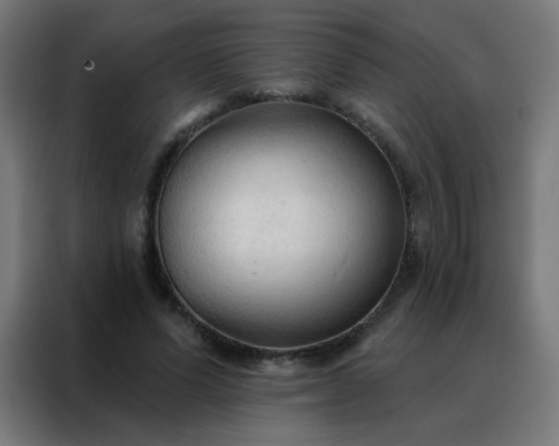 X0000088220591200705221805