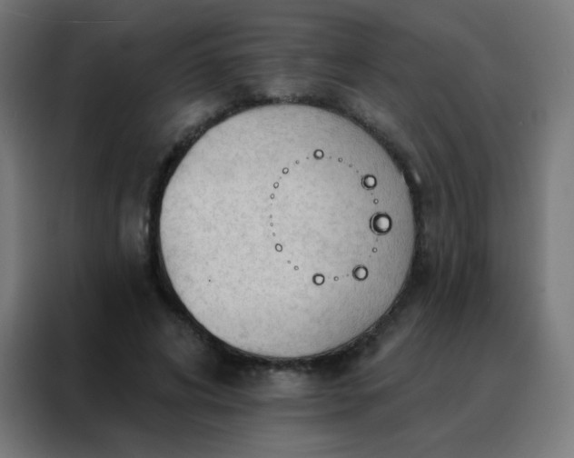 X0000088220592200705221805