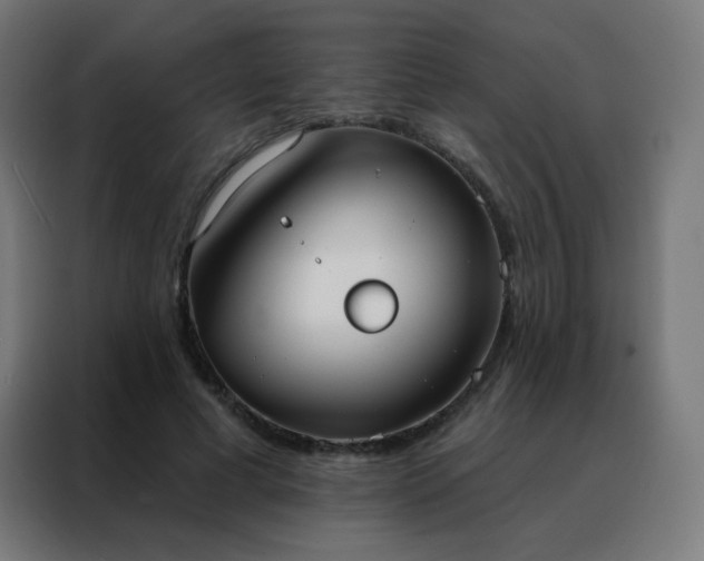 X0000088220593200705221805