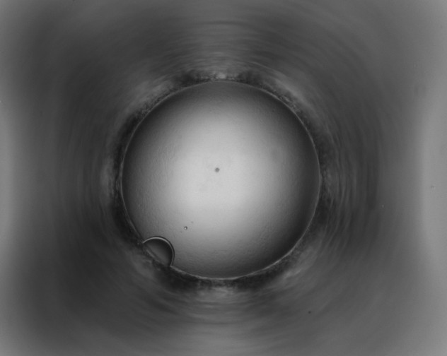 X0000088220594200705221805