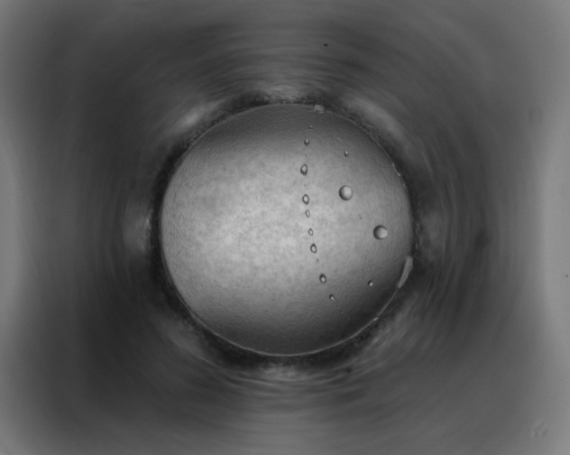 X0000088220596200705221805