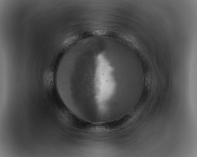 X0000088220598200705221805