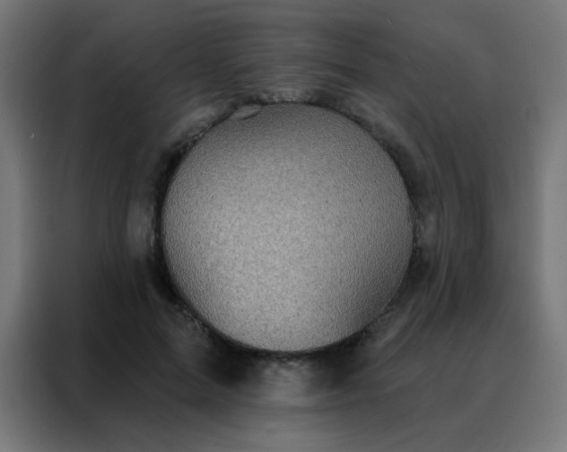 X0000088220599200705221805