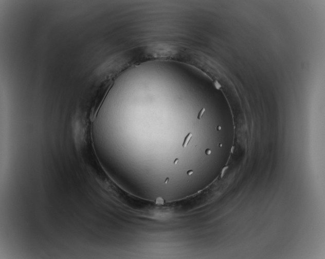 X0000088220604200705221805