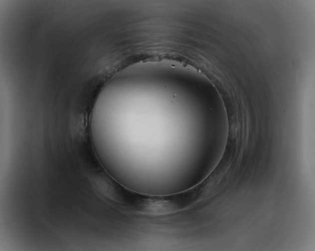 X0000088220605200705221805