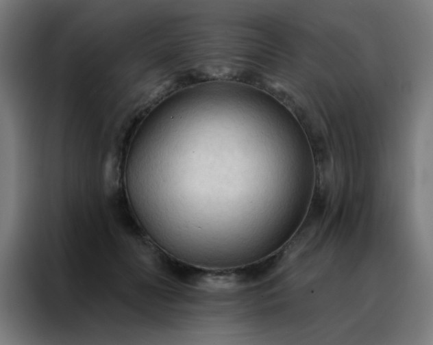 X0000088220606200705221805