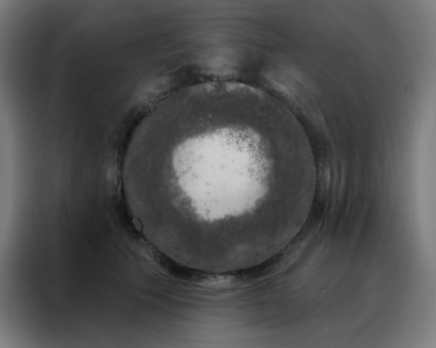 X0000088220609200705221805