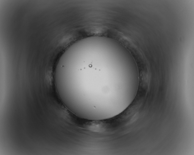 X0000088220612200705221805