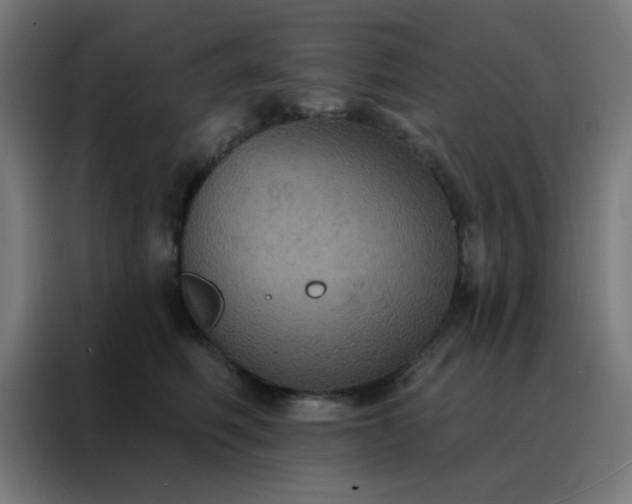 X0000088220614200705221805