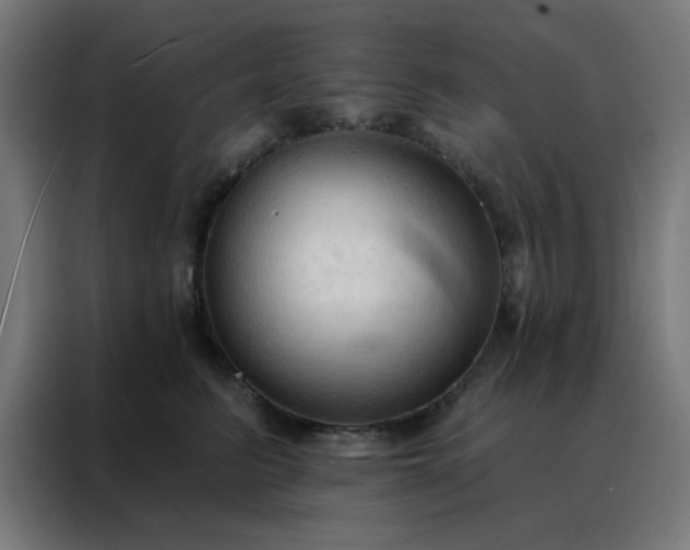 X0000088220615200705221805