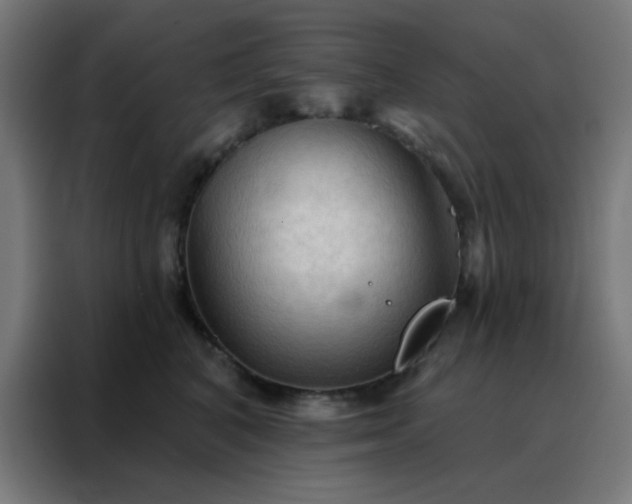 X0000088220616200705221805