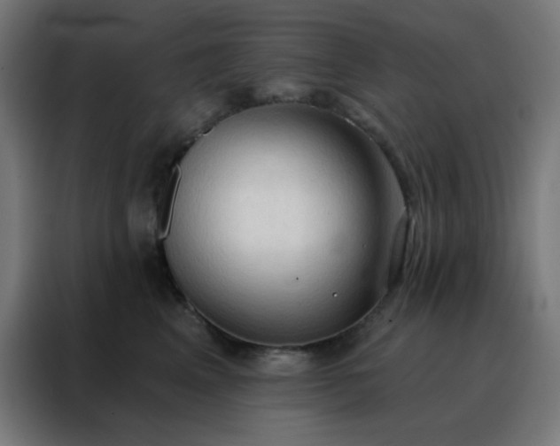 X0000088220617200705221805