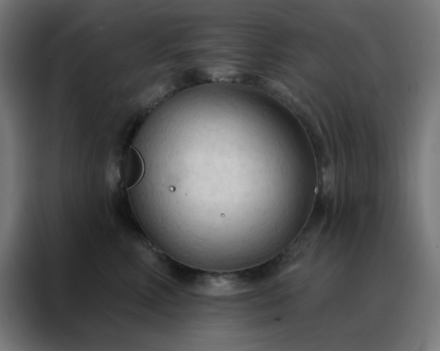 X0000088220618200705221805