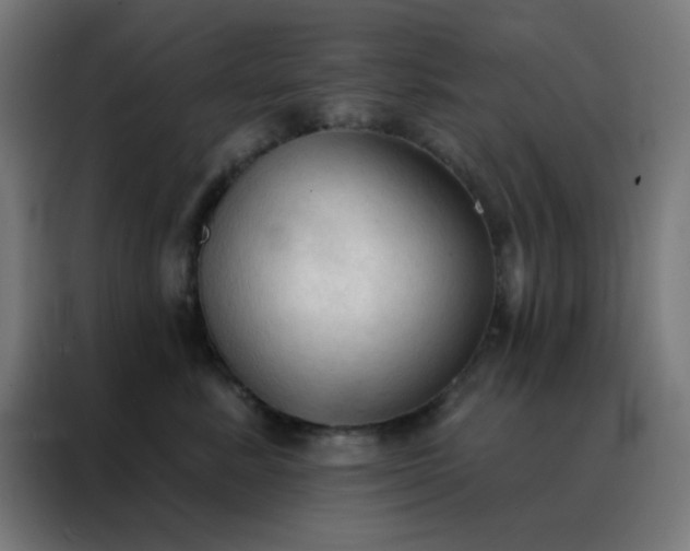 X0000088220619200705221805