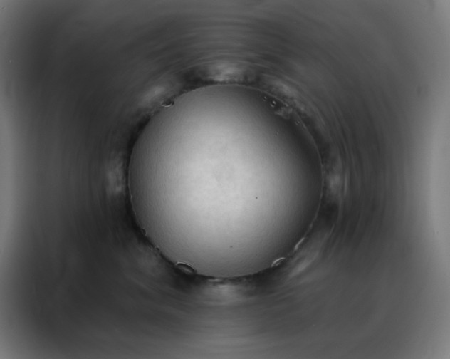 X0000088220620200705221805