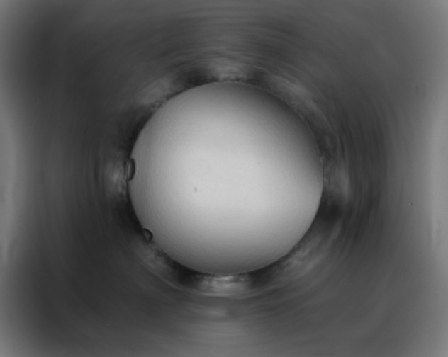 X0000088220622200705221805