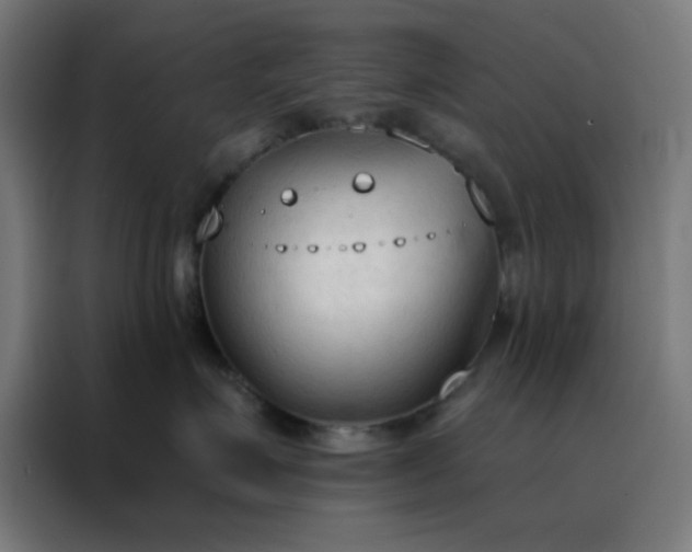 X0000088220623200705221805