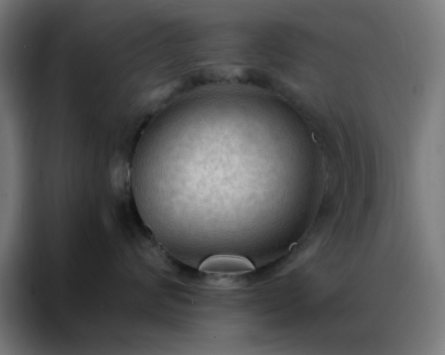 X0000088220624200705221805