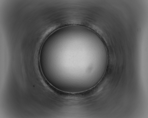 X0000088220625200705221804