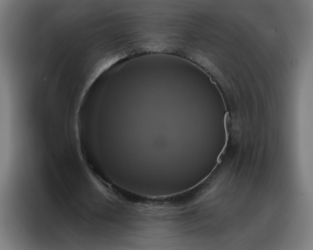 X0000088220626200705221804