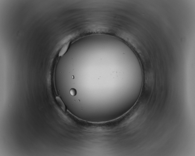 X0000088220629200705221804