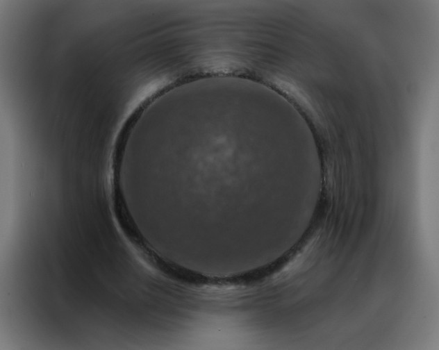 X0000088220630200705221804