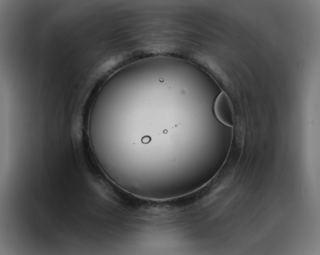 X0000088220631200705221804