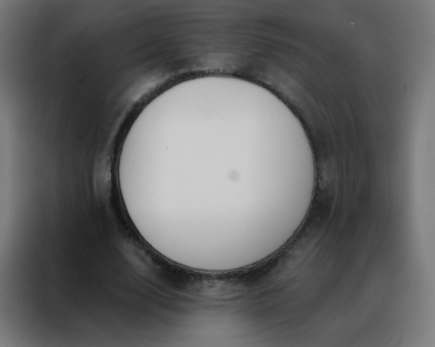 X0000088220632200705221804