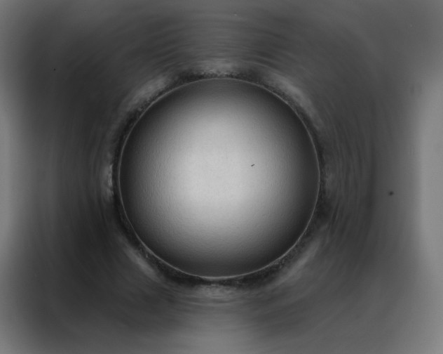 X0000088220633200705221804