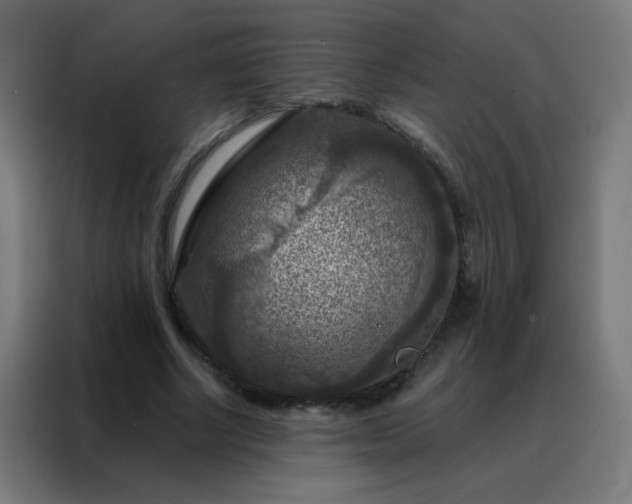 X0000088220634200705221804