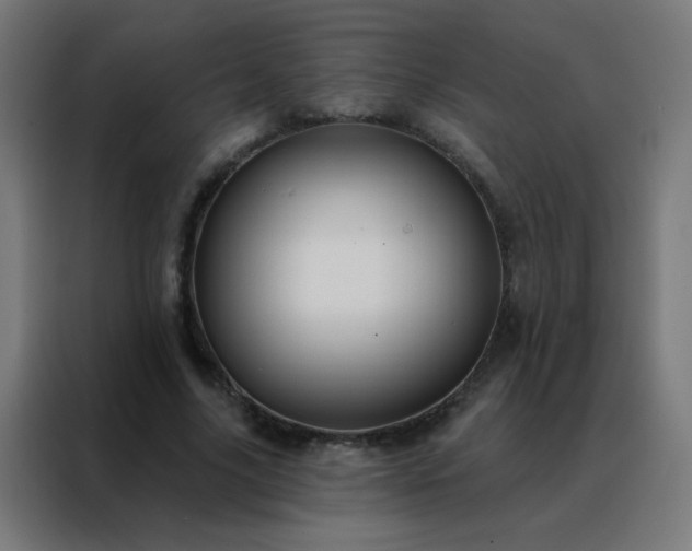 X0000088220635200705221804