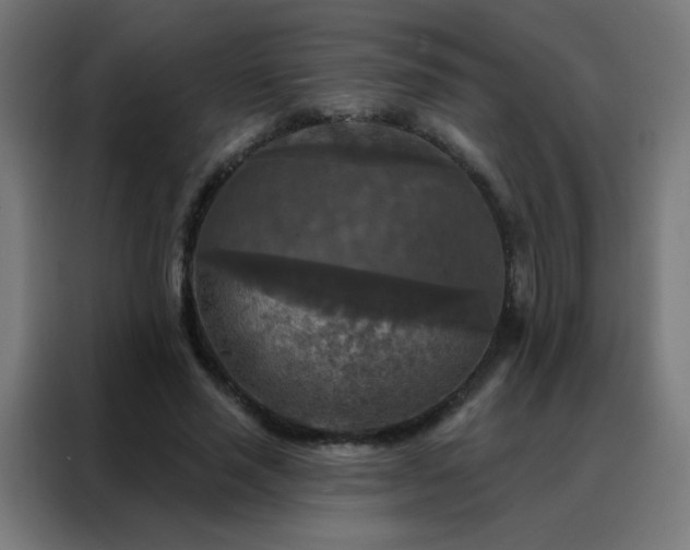 X0000088220637200705221804