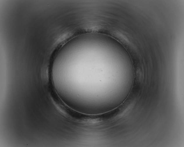 X0000088220638200705221804