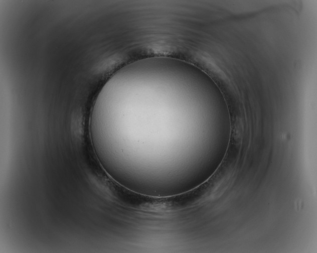 X0000088220639200705221804