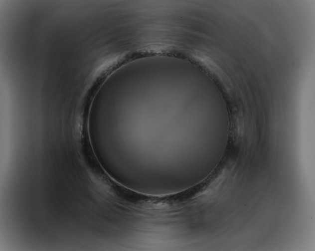 X0000088220640200705221804