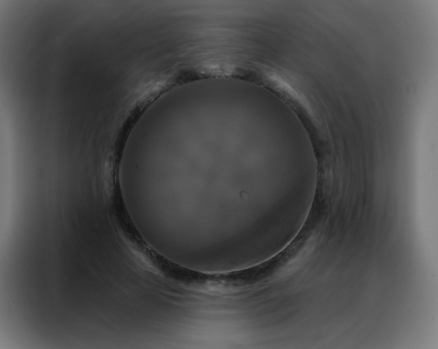 X0000088220641200705221804