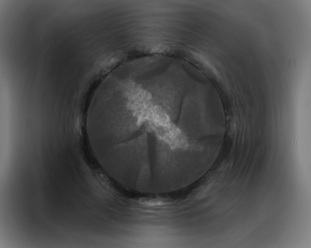 X0000088220643200705221804