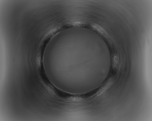 X0000088220644200705221804