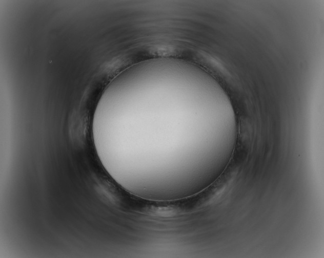 X0000088220645200705221804