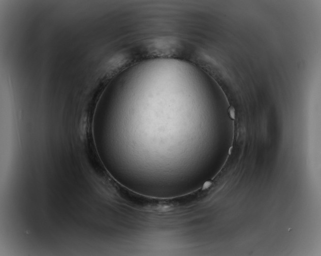 X0000088220647200705221804