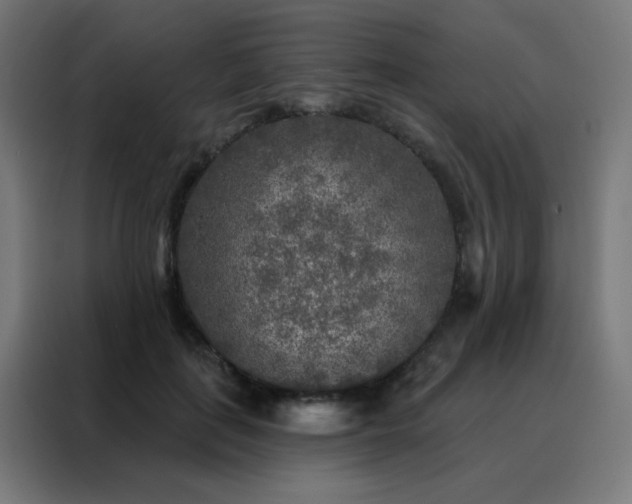 X0000088220651200705221805