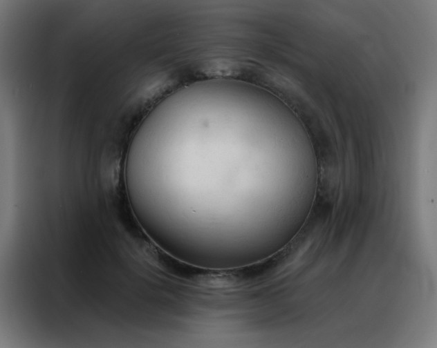 X0000088220652200705221805