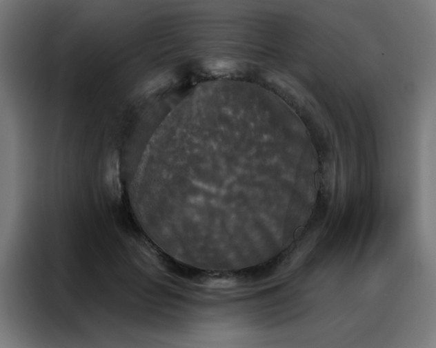 X0000088220653200705221805