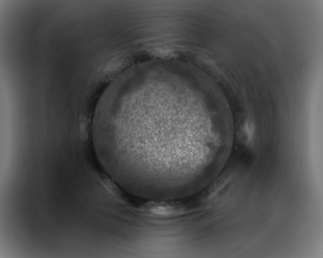 X0000088220658200705221805